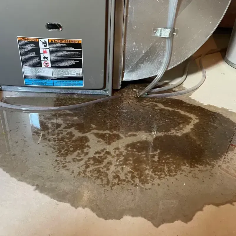 Appliance Leak Cleanup in Norwalk, CA